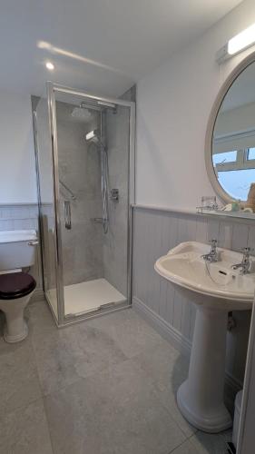 a bathroom with a shower and a sink and a toilet at Foley's Townhouse Killarney in Killarney
