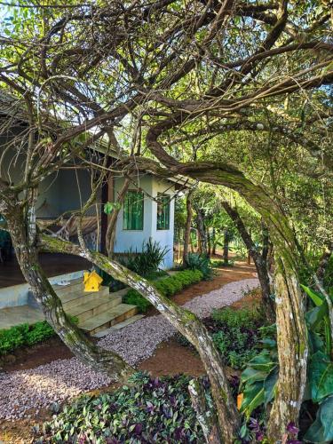 ein Baum, der über eine Treppe vor einem Haus liegt in der Unterkunft Casa de Miguel in Alto Paraíso de Goiás