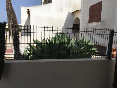 Το κτήριο όπου στεγάζεται  ο ξενώνας
