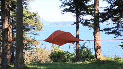 a red kite hanging between two trees near the water at TideAway Farm on Private Island! Escape & Indulge Mother Nature! in Anacortes