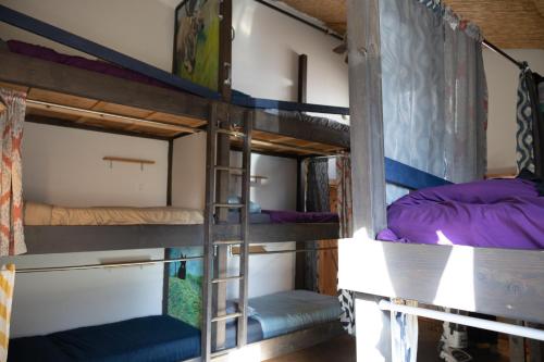 Μία ή περισσότερες κουκέτες σε δωμάτιο στο Barn Door Hostel