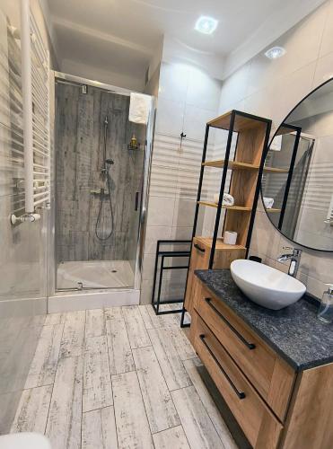 a bathroom with a sink and a shower at Perła Górska in Szklarska Poręba