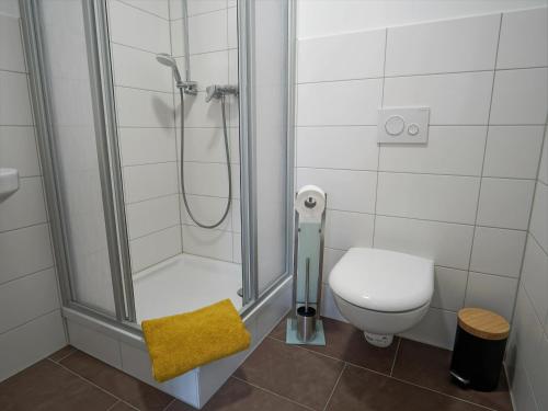 un bagno con doccia e WC di Hogulu - urgemütliches Appartement 19 in der Altstadt a Brandenburg an der Havel