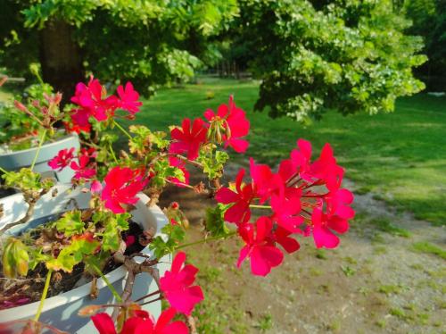 Jardín al aire libre en Fornace di Montechiaro
