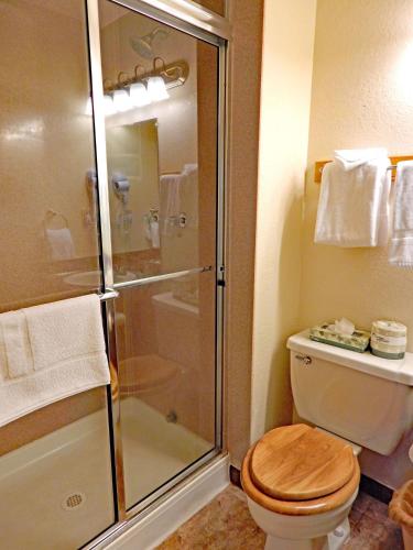 a bathroom with a toilet with a glass shower at Timber Run in Winter Park