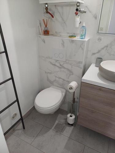 un baño con inodoro y lavabo en JOLI 2 PIECES SERRIERA, en Serriera