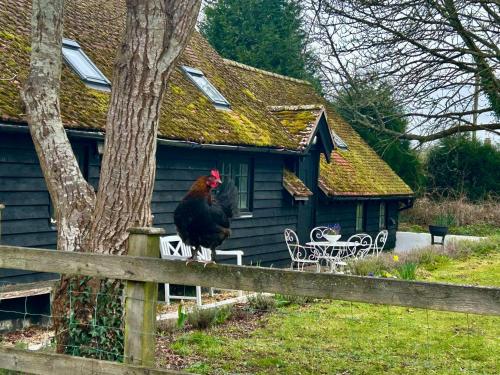a rooster standing on a fence in front of a house at Bessie May Cottage in Beaulieu