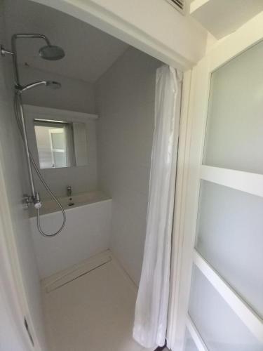 une salle de bain avec une douche avec un rideau de douche dans l'établissement Studio et chambre sur jardin et mer, à Cannes