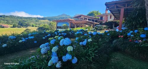 a garden with blue flowers in front of a house at Finca Paraiso Mountain Retreat near San Jose Airport in Birrí