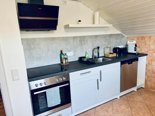 Kuchyň nebo kuchyňský kout v ubytování Lion Flat 2 Zimmer Wohnung in Vohburg mit Büro