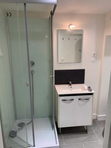 une salle de bain avec une douche, un lavabo et un miroir dans l'établissement Joli appartement, à Aytré