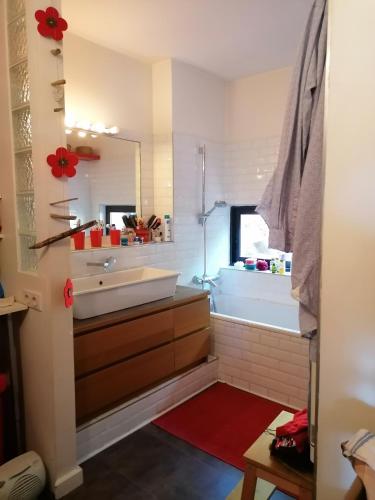 une salle de bain avec un lavabo et un miroir dans l'établissement Maison contemporaine en bois au coeur des Corbières, à Ferrals-lès-Corbières