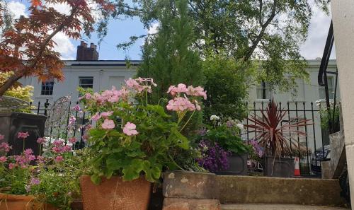 a bunch of flowers in front of a house at Stylish Garden Apartment in Central Cheltenham in Cheltenham