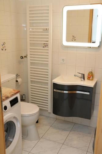 un bagno con un lavandino del water e una lavatrice di Ferienwohnung Bella Vista a Eimeldingen