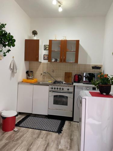 Kuchyň nebo kuchyňský kout v ubytování Apartments Ivanišević