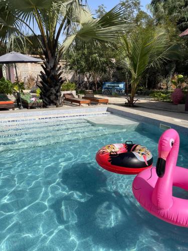 a swimming pool with two inflatable flamingos in the water at Asamai Rooms in Sifoe