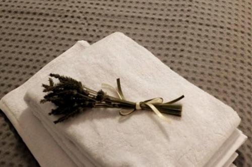 Δ4 Τα διαμερίσματα του δασκάλου