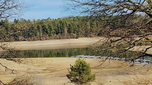 a lake with a tree in the middle of a field at Mobile home in Saint-Gérons