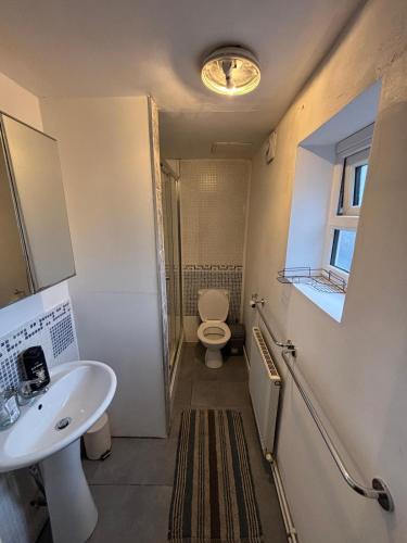 a bathroom with a sink and a toilet at Shared Home - Self Check-In - Resident Cat in Hatfield