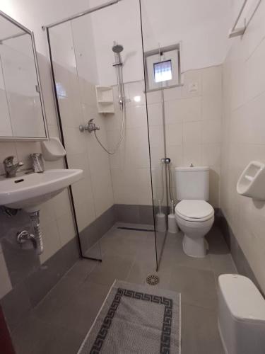 a bathroom with a shower and a toilet and a sink at Kalimera apartments in Marathias