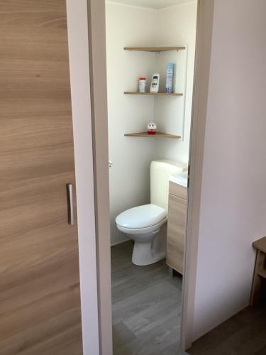 La salle de bains est pourvue de toilettes et de parquet. dans l'établissement Montourey 83 ES 119, à Fréjus