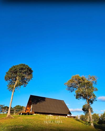 a house with a black roof and two trees at Chalé Araucária in Bom Retiro