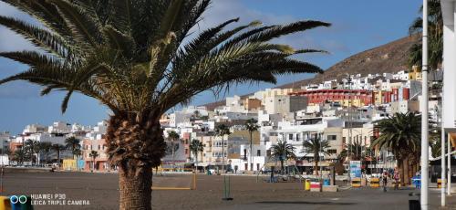 een palmboom voor een stad bij Wind Rose Duplex in Gran Tarajal
