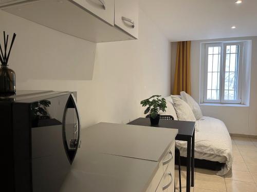 Il comprend un salon avec une cuisine et un canapé. dans l'établissement Studio équipé confort proche de toutes commodités, à La Seyne-sur-Mer