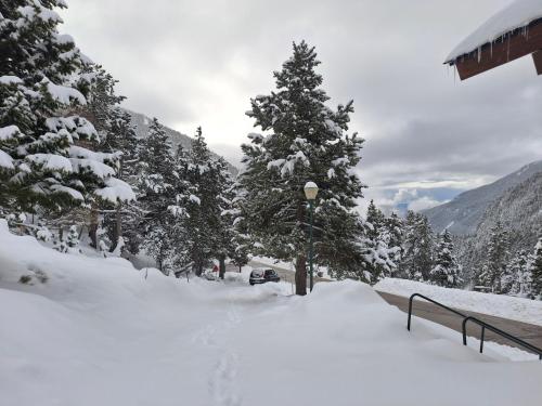 a snow covered street with trees and a street light at Bungalow en parc natural del Ter 2000 metres in Setcases