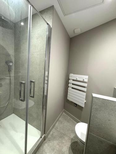 une salle de bain avec douche et toilettes dans l'établissement Appartement agréable proche gare, à Vienne