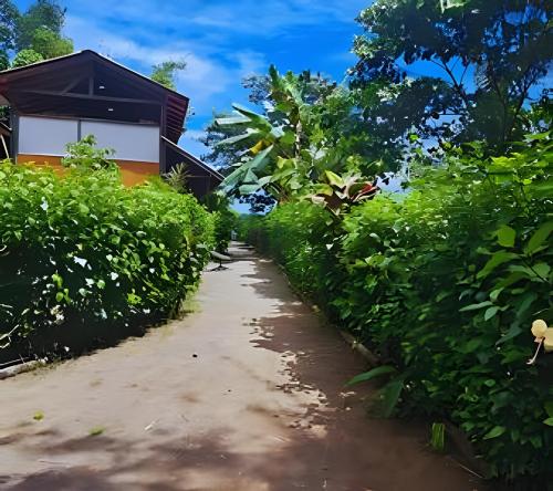 a path in front of a house with bushes at Paraíso con playas vírgenes & selvas en "Nuqui" in Nuquí