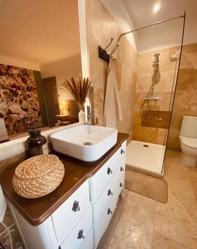 une salle de bain avec un lavabo et une douche dans l'établissement Mas Belvega, à La Baume-de-Transit