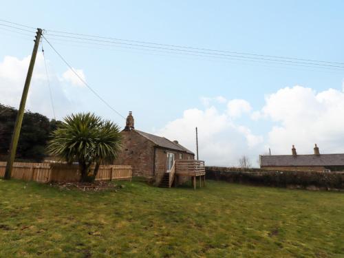 an old brick house with a palm tree in a yard at Henhill Lodge in Chathill