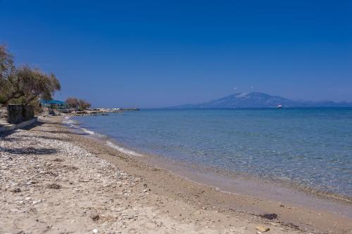 Φυσικό τοπίο κοντά σε αυτή η παραθεριστική κατοικία