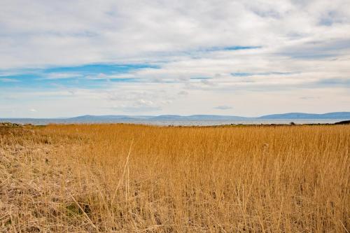 a field of tall brown grass with mountains in the background at Wild Atlantic Way Retreat by Shortstays in Ballynahown