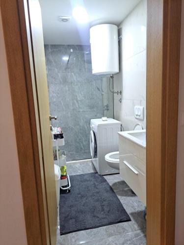 Koupelna v ubytování TiN Apartment