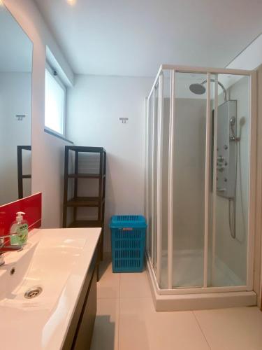 a bathroom with a shower and a sink at Amazing Views in Machico in Machico