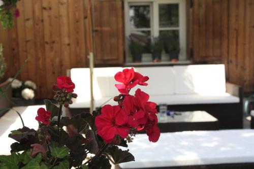 a vase with red flowers on a table at Appartement Omeshorn anno 1593 in Lech am Arlberg
