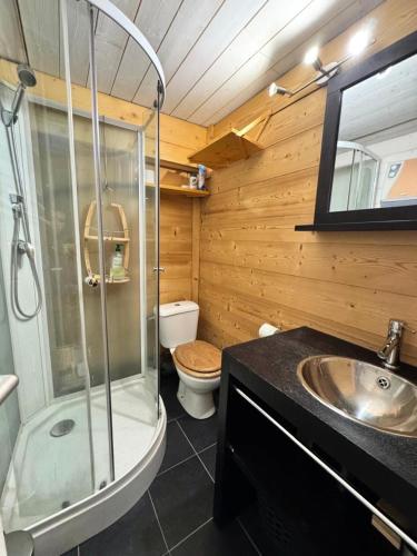 une salle de bain avec une douche, un lavabo et des toilettes dans l'établissement Résidence L'edelweiss - APPARTEMENT COEUR DE STATION MAE-8931, à Vars