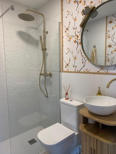 a bathroom with a toilet and a sink and a mirror at Melgar's Place, Bajo con terraza in Santo Domingo de la Calzada