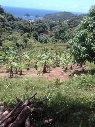 PT Jardin Farm
