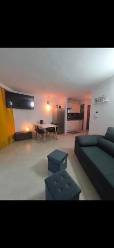 Ocean Golf del Sur large flat