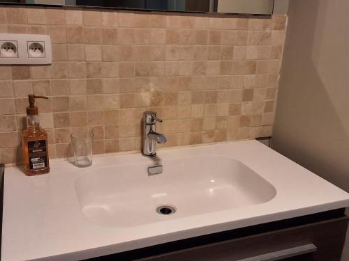 a bathroom sink with a bottle of soap on it at Holiday in de kempen in Turnhout