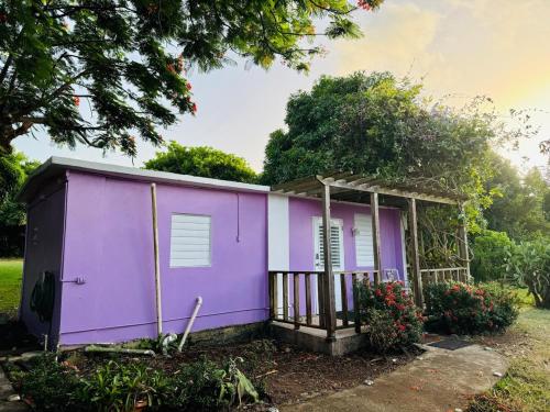 a purple tiny house in a yard at Purple Sunset - Walk to Malecon & Beaches in Vieques