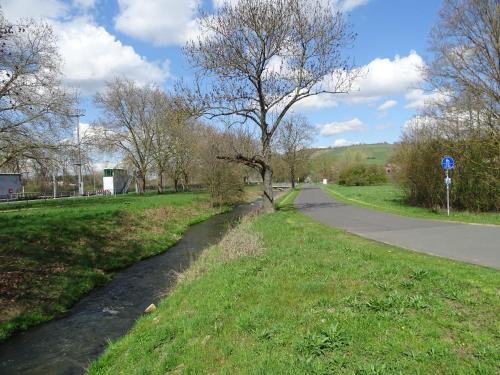 a tree on the side of a road at Hotel Demling in Randersacker