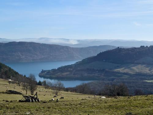a person standing on a hill with a view of a lake at Lockview Upper Flat in Fort Augustus