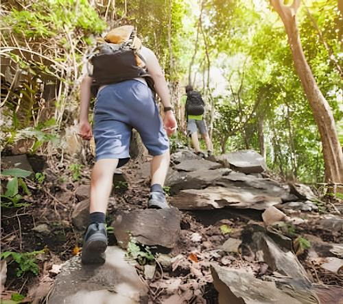 people walking on rocks on a trail in the woods at Eco cabaña Frente al Mar & Paraíso en "Nuquí " in Termales - agua caliente - nuqui
