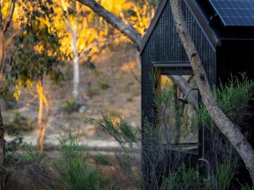 una casa de aves negras con techo solar en Secluded off-Grid cabin with water views - Marcel, en Chewton