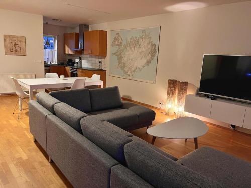 un salon avec un canapé, une table et une télévision dans l'établissement Sandavad, à Reykjavik