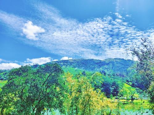 a view of a mountain with trees and a lake at Sun City Family Inn in Hatton
